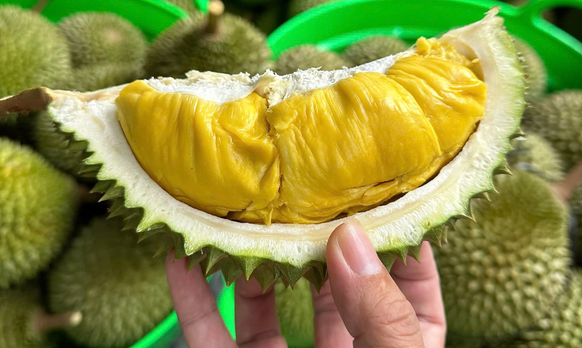 Giá sầu riêng hôm nay 29/8: Biến động trái chiều