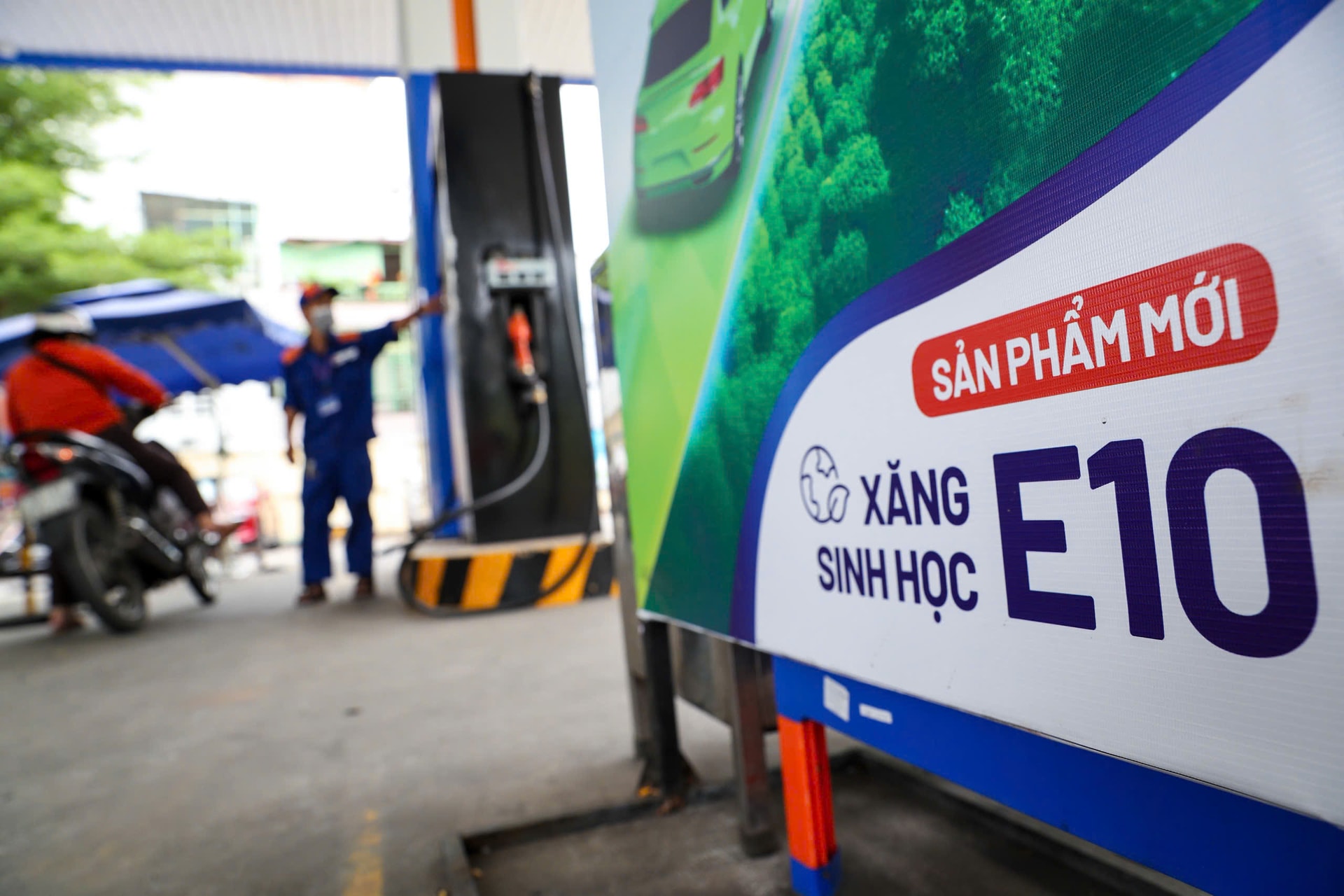 Giá xăng dầu hôm nay 29/8: Dầu thế giới giảm nhẹ, trong nước đồng loạt tăng