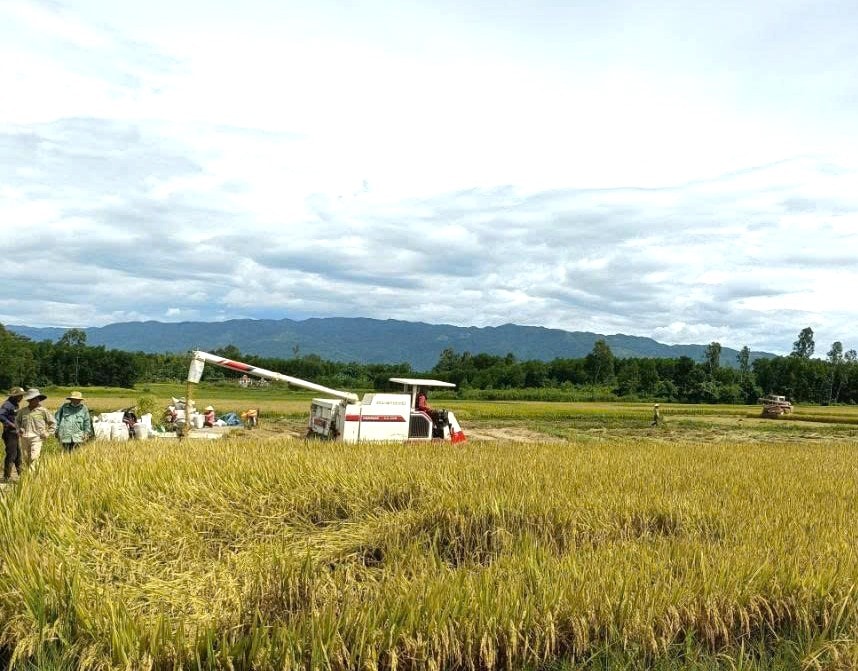 lua he thu 5