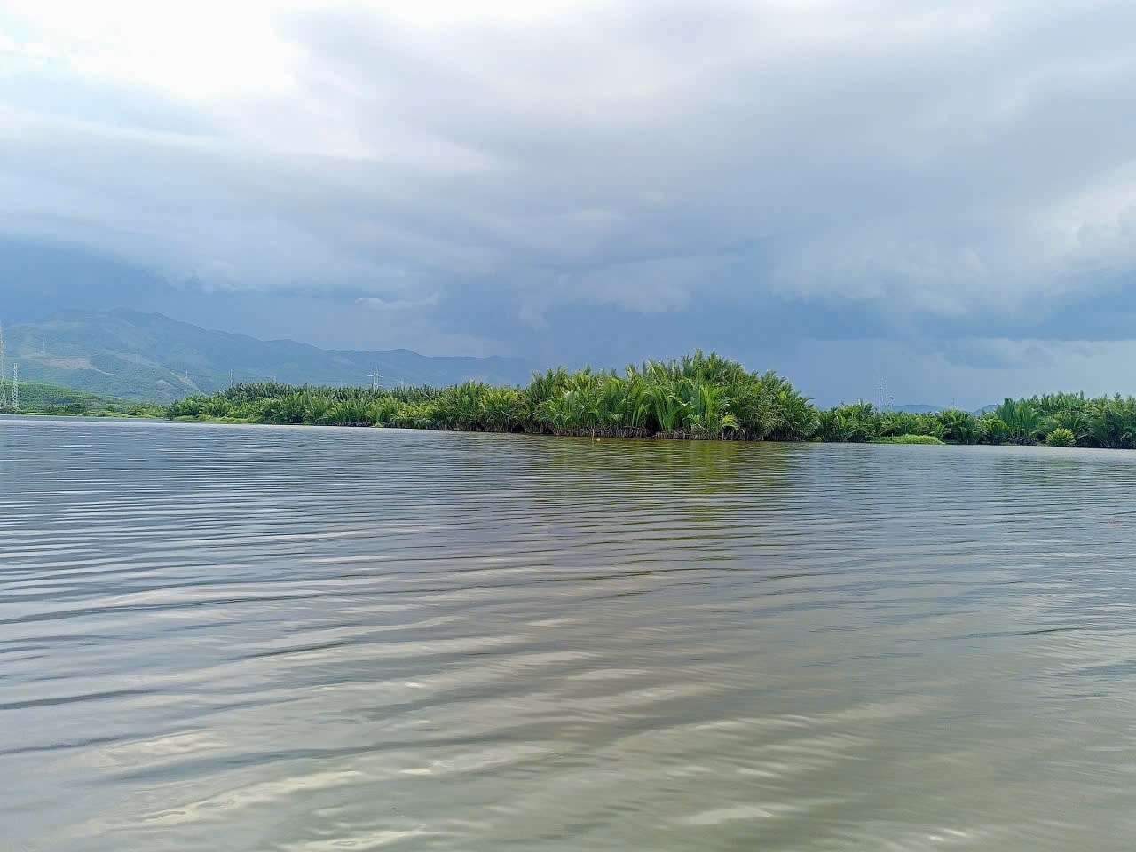 rung-dua-dinh-phuoc-xa-nui-thanh.-anh-van-phin.jpg