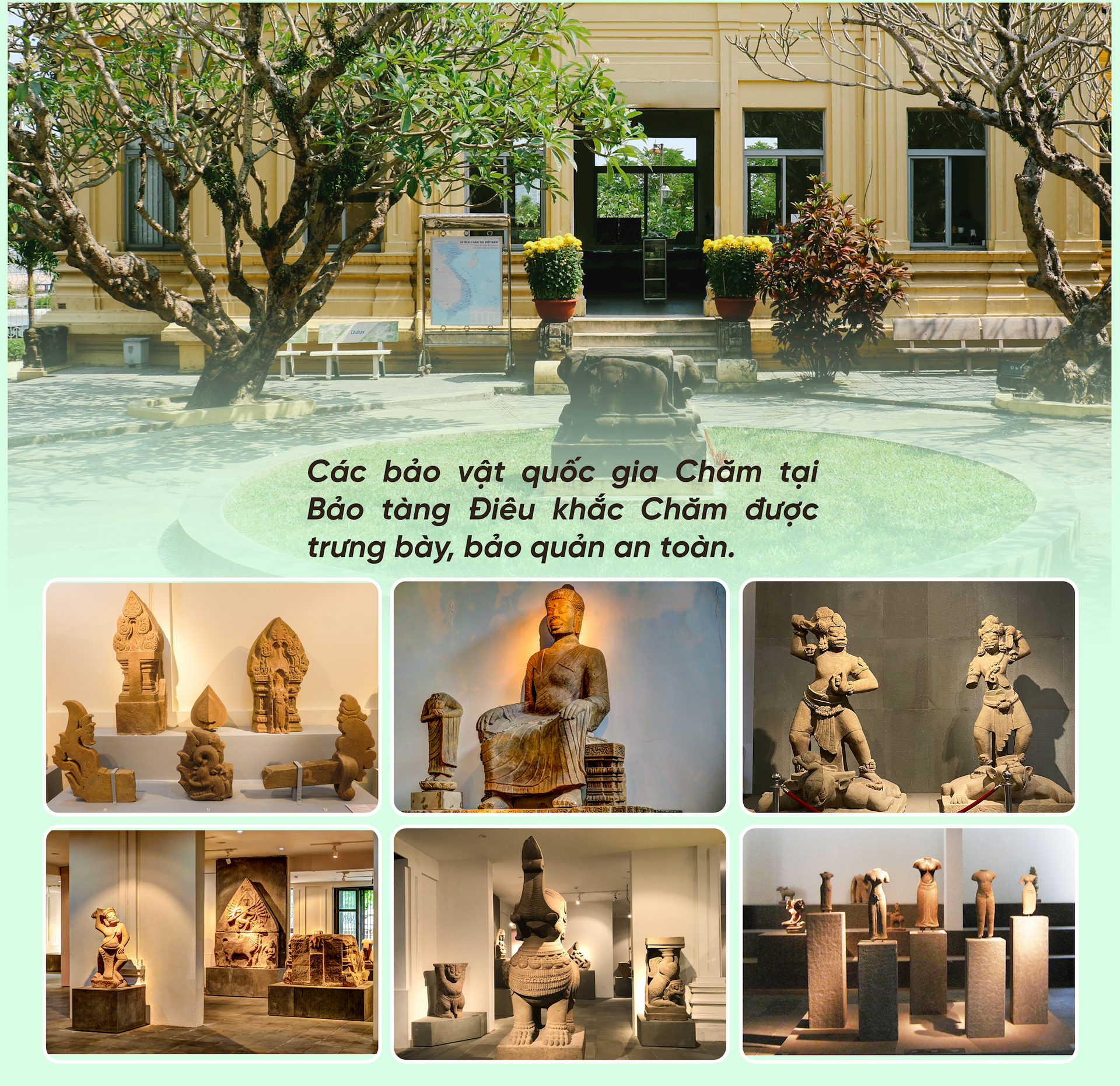 anh4(1).png