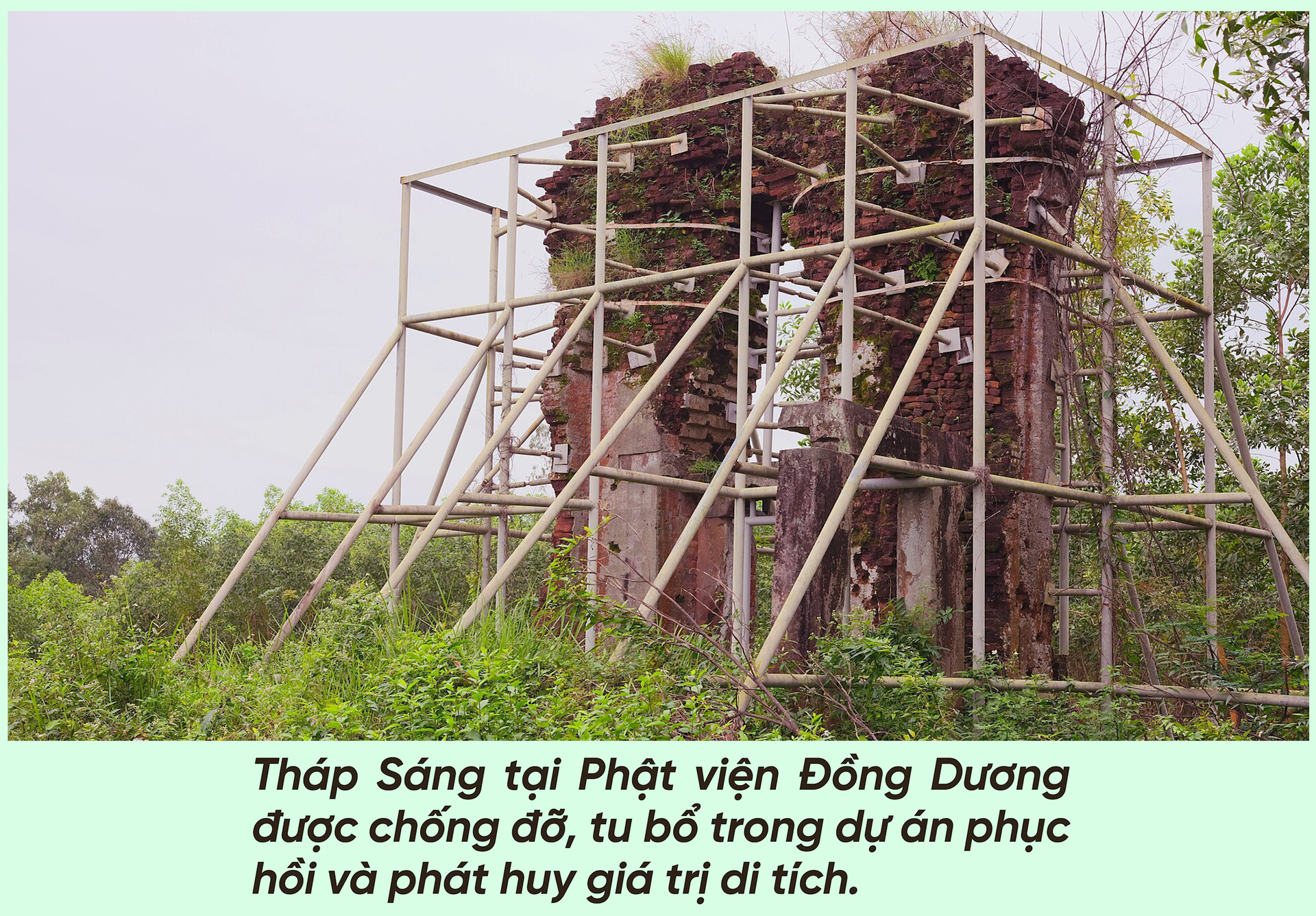 anh7.png