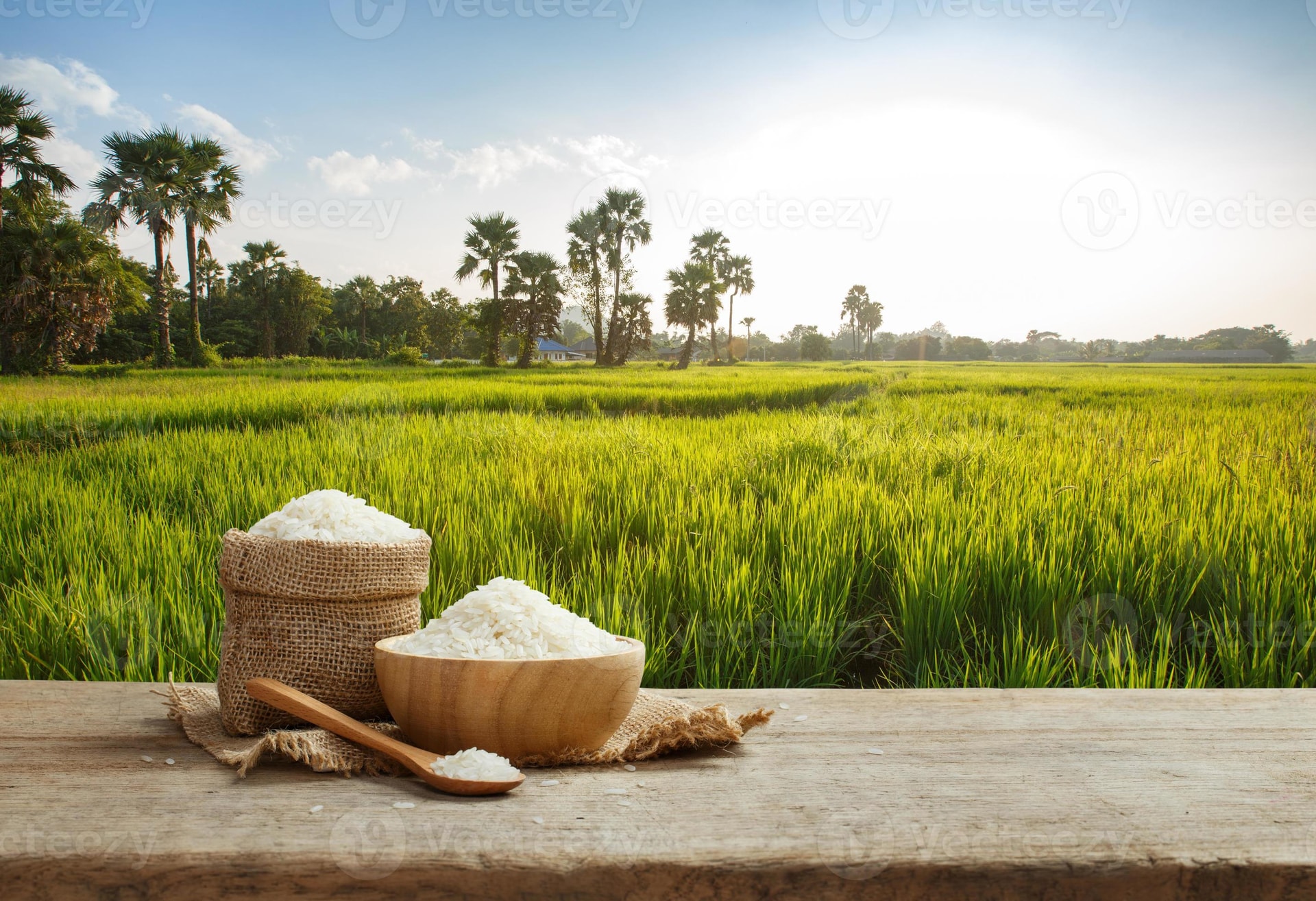 Giá lúa gạo hôm nay 4/9: Gạo nguyên liệu tăng nhẹ, thị trường khởi sắc