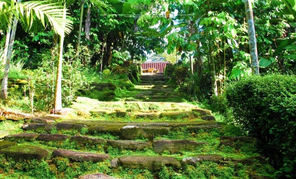 Ngõ đá được xây dựng công phu là đặc trưng ở miền Tiên Phước. Ảnh: Tư liệu