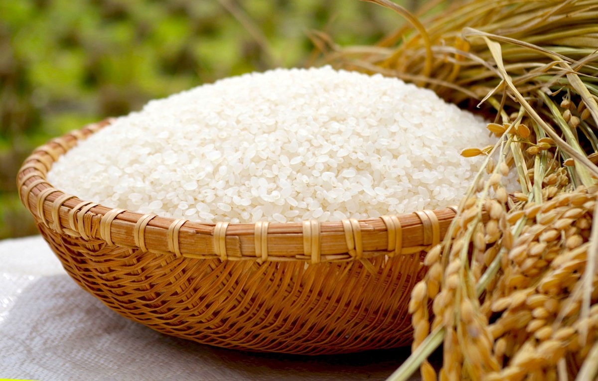  7/9: Tuần vững giá
