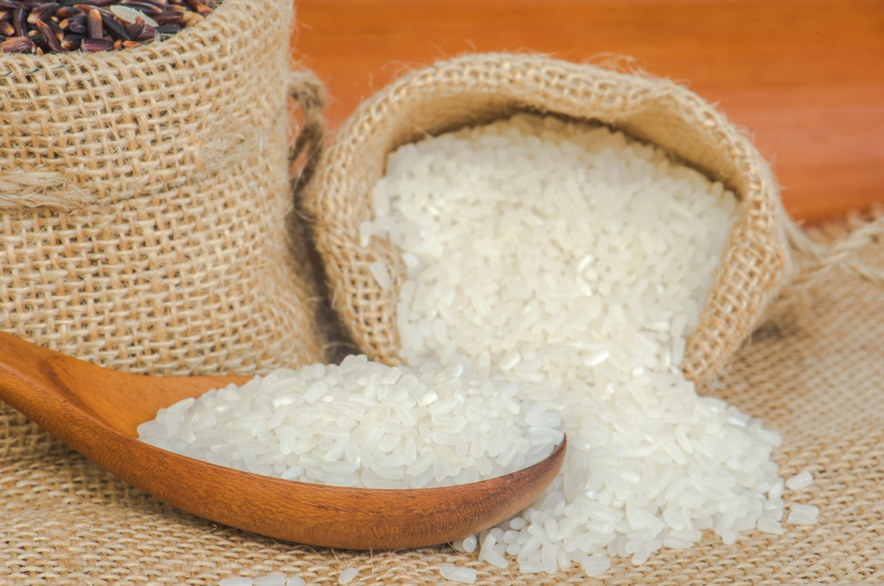 Giá lúa gạo hôm nay 8/9: Giá ít biến động