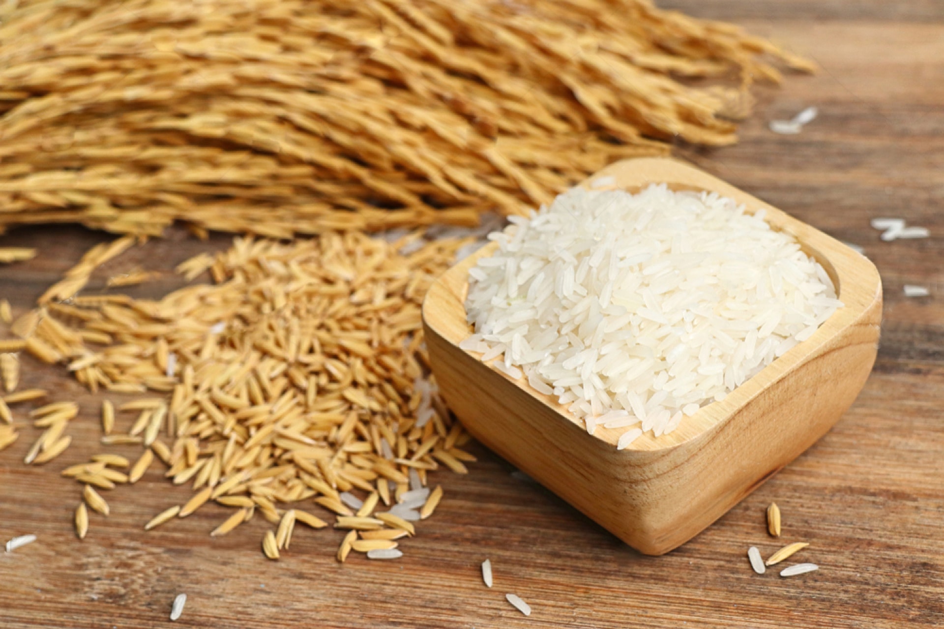 Giá lúa gạo hôm nay 9/9: Biến động nhẹ