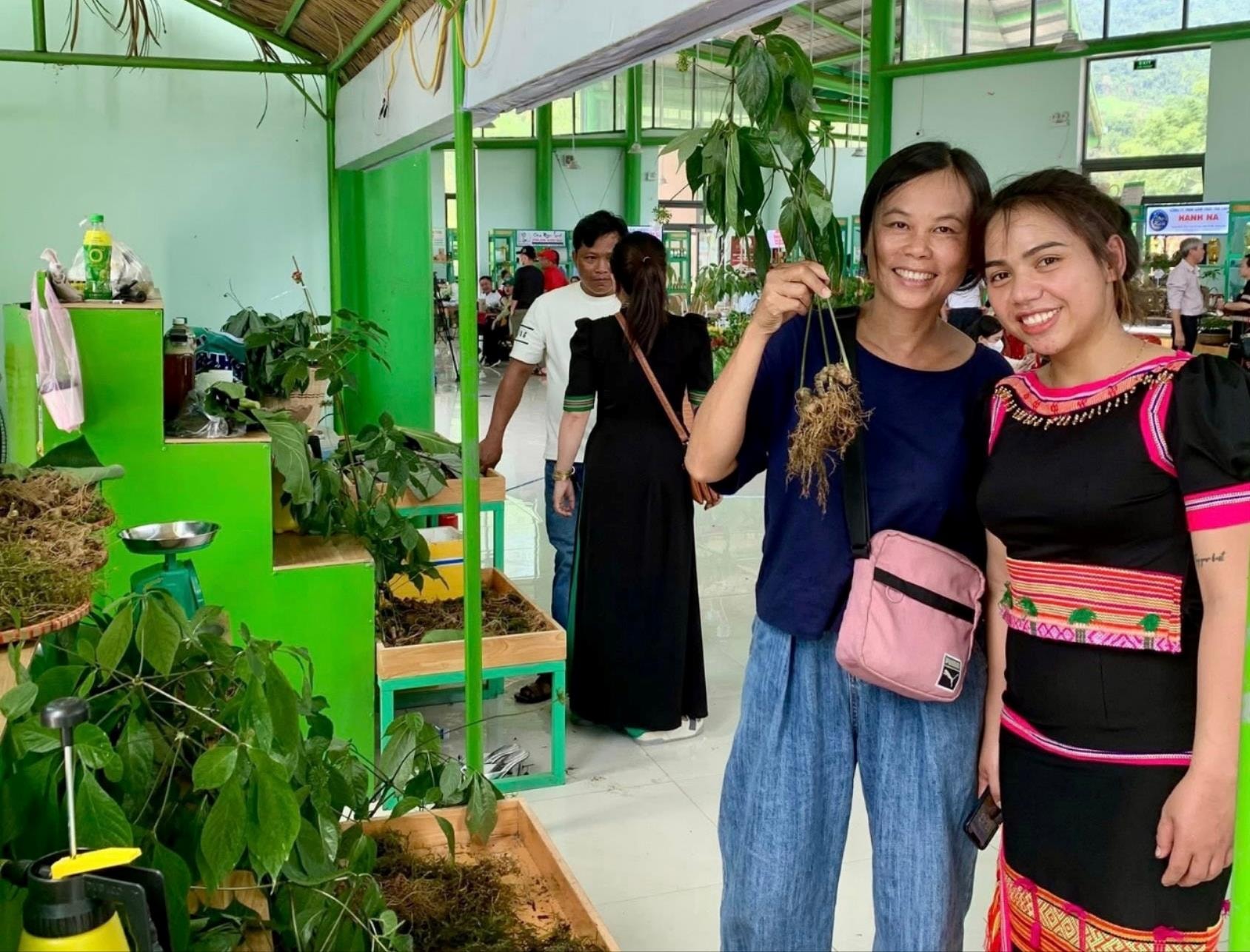 C&acirc;y s&acirc;m Ngọc Linh được người d&acirc;n đem đến lễ hội s&acirc;m Ngọc Linh năm 2025.