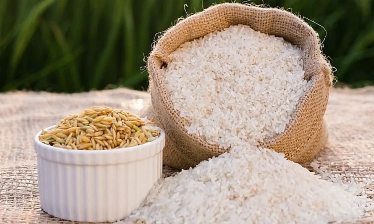 Giá lúa gạo hôm nay 13/9: Thị trường gạo chao đảo