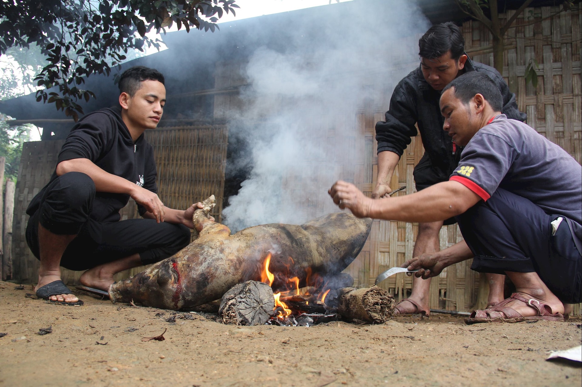 Mổ thịt heo đãi khách quý đến thăm nhà. Ảnh: T.C