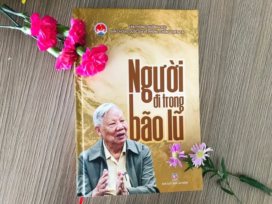 nguoi-di-trong-bao-lu-2125-155309.jpg