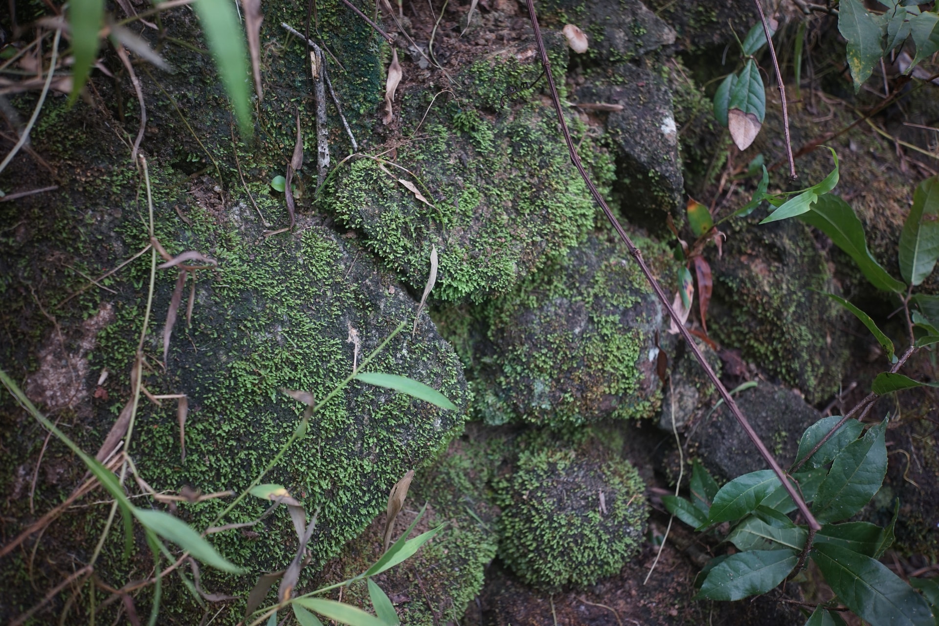 son06330.jpg