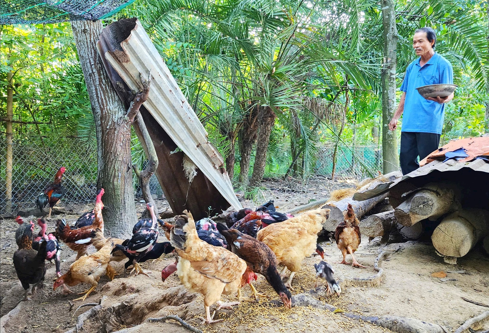 ២២-៩ ឃីងហ៊ីប ២