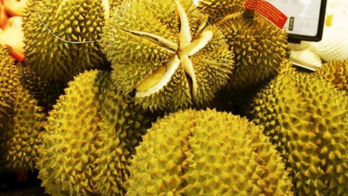 Giá sầu riêng hôm nay 22/9: Sầu Thái tăng mạnh, Musang King ổn định