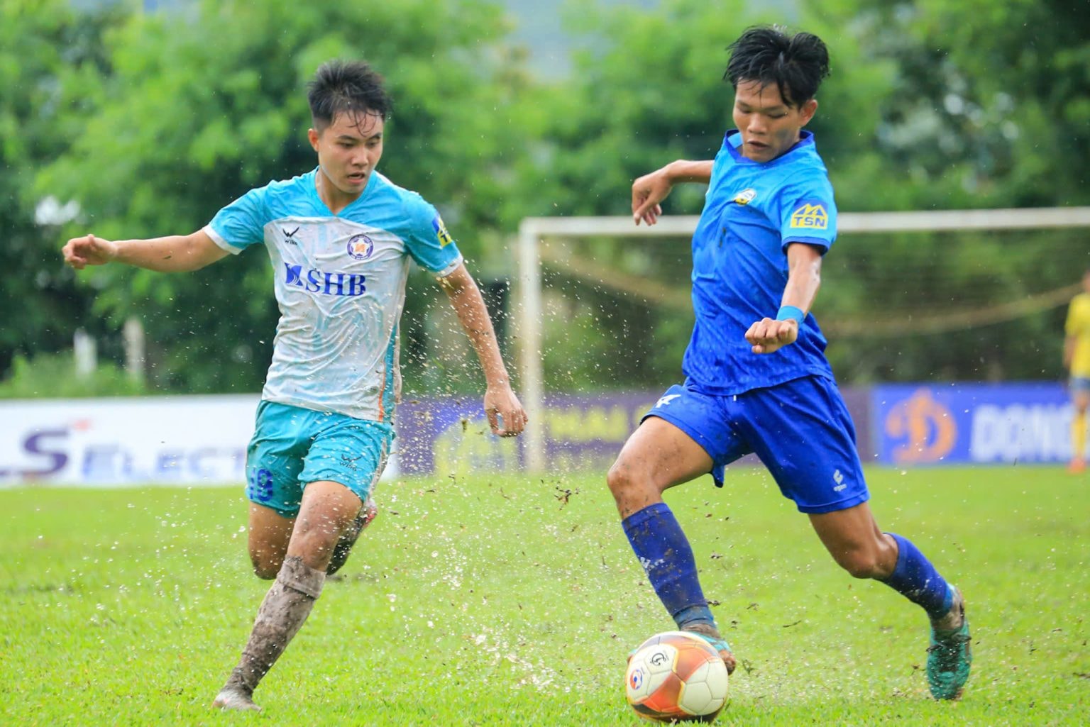 24-9 tin tt shb