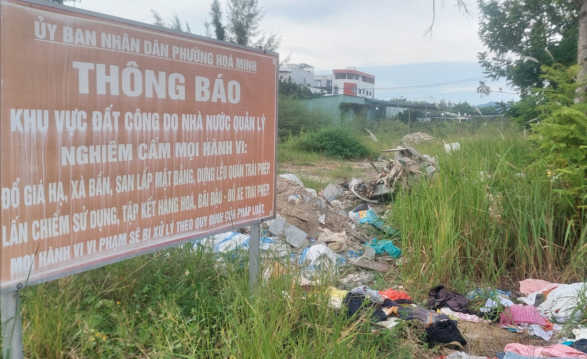mạnh 2
