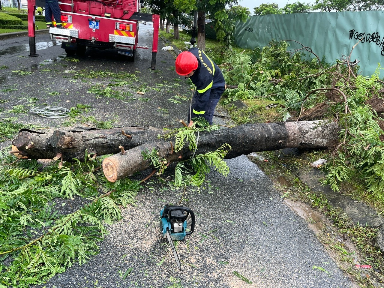 Die Feuerwehr und Rettungskräfte des Gebiets 3 kümmern sich um umgestürzte Bäume. Foto: PV