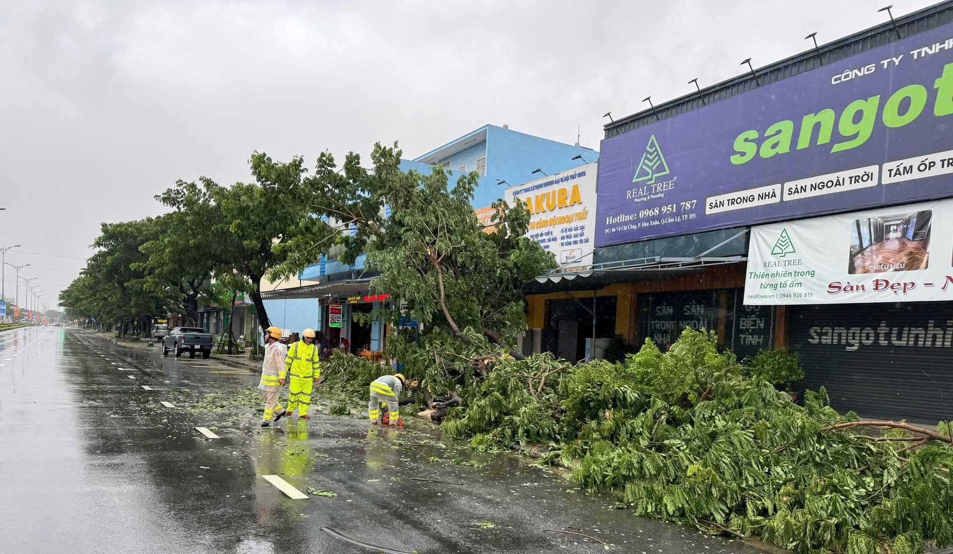 Dọn cây ngã đổ trên đường Võ Chí Công, đoạn qua phường Hòa Xuân. Ảnh: HÙNG TÚ
