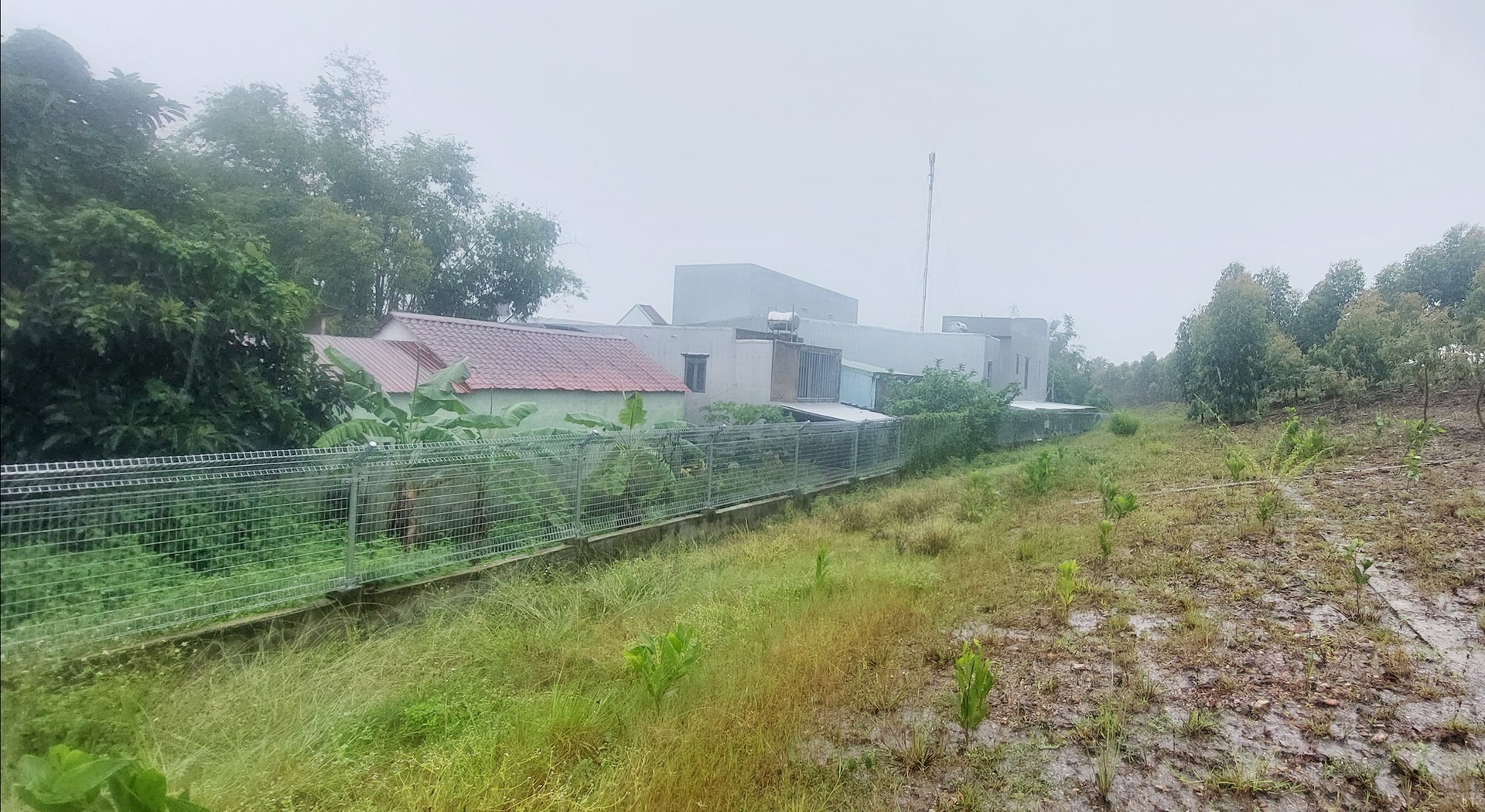 ចង្កោមឧស្សាហកម្មនៅលើភ្នំធ្លាប់បណ្តាលឱ្យមានការរអិលបាក់ដី; ឥឡូវ​នេះ ទំនប់​ត្រូវ​បាន​គេ​សាង​សង់ និង​ដាំ​ដើម​ឈើ​ដើម្បី​ដោះស្រាយ​បញ្ហា។ រូបថត៖ TRONG HUNG