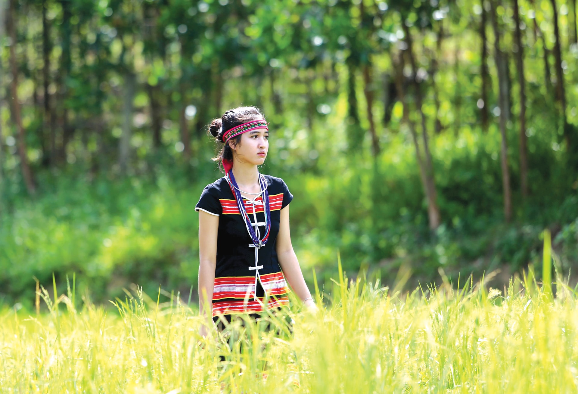 ទៅវាលជាមួយ brocade ។