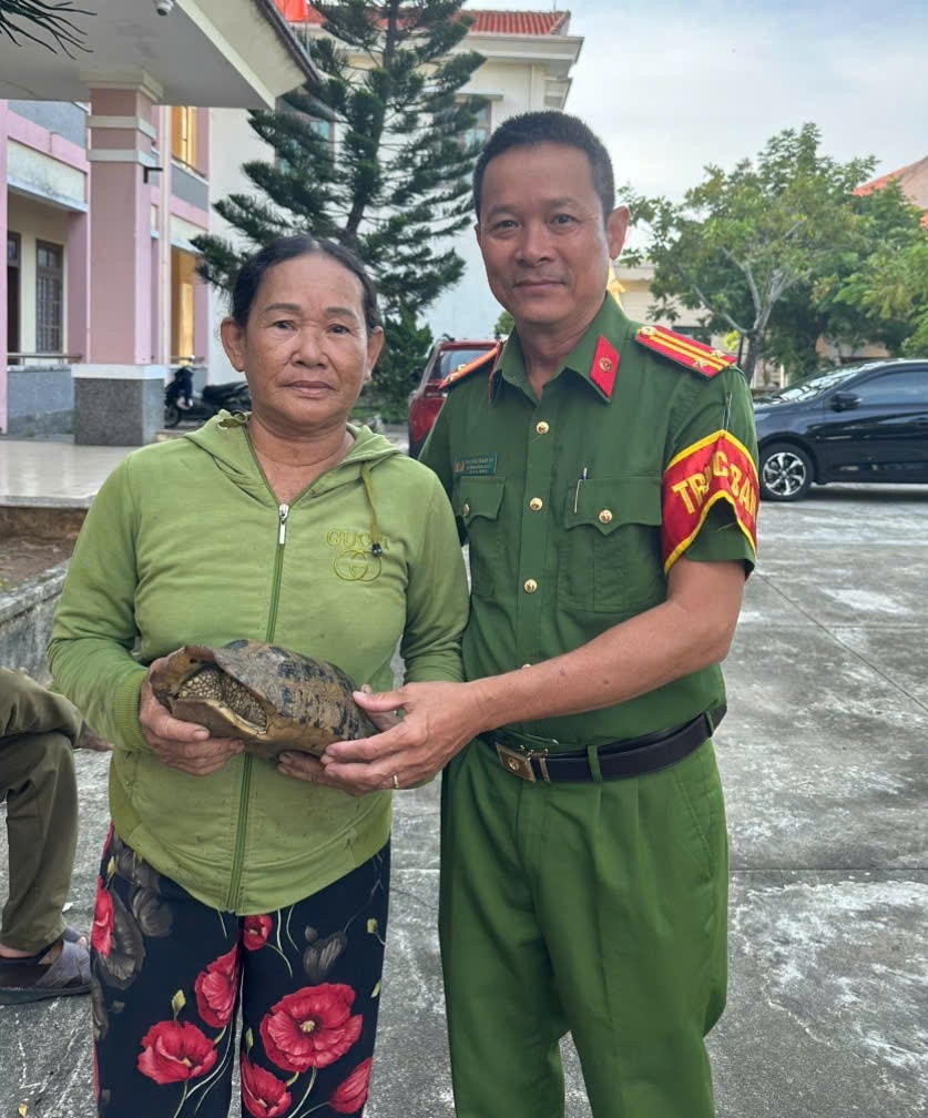 Bà Trần Thị Ngọc bàn giao cá thể rùa cho Công an phường Quảng Phú. Ảnh: QUANG SƠN.