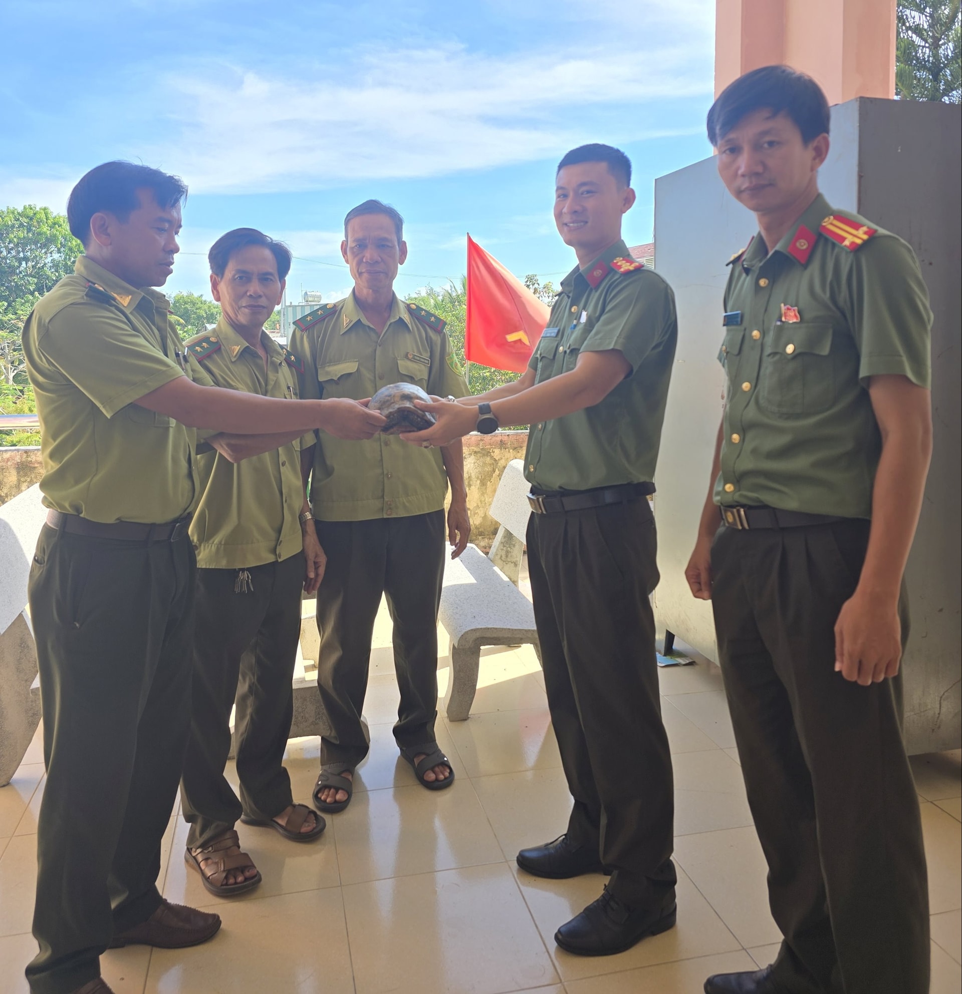 Công an phường Quảng Phú bàn giao cá thể rùa cho Hạt Kiểm lâm cơ động số 1 để thả về tự nhiên. Ảnh: QUANG SƠN.