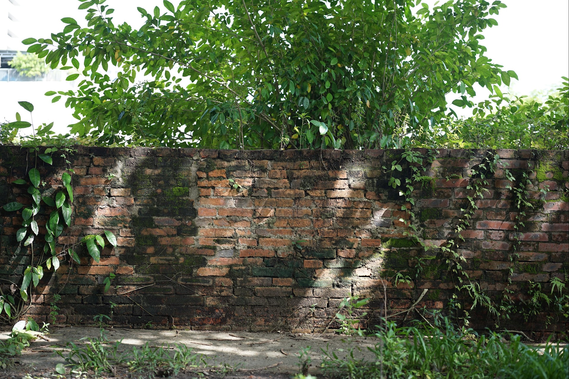 Foto: XUAN SON