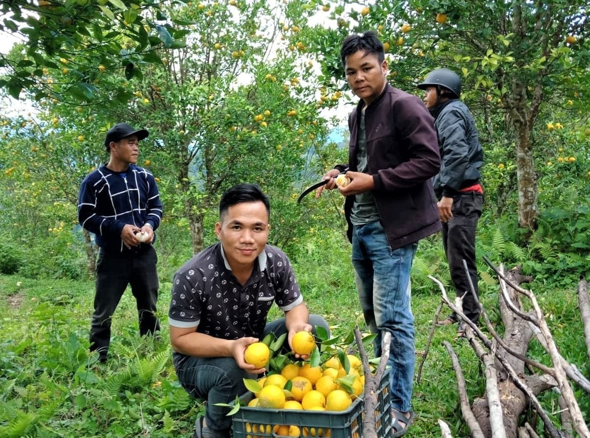 images.baoquangnam.vn-storage-newsportal-2021-7-11-114377-_tnb-46059.jpg