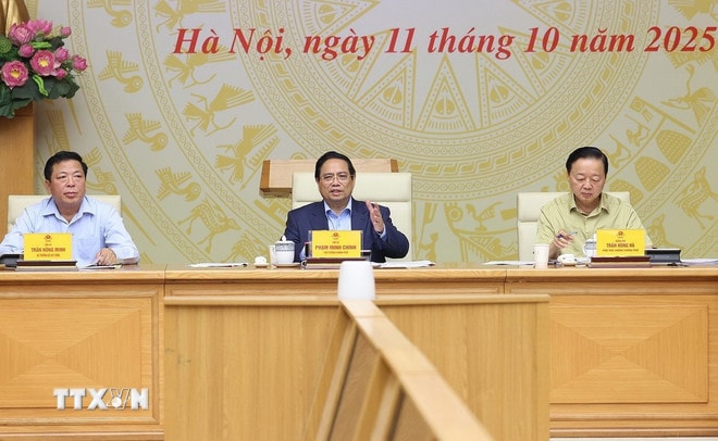 ttxvn-1110-thu-tuong-nha-o-xa-hoi-3.jpg