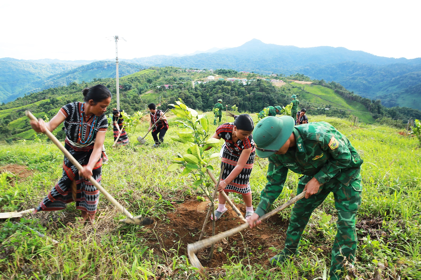 3+ huong dan Trong cam