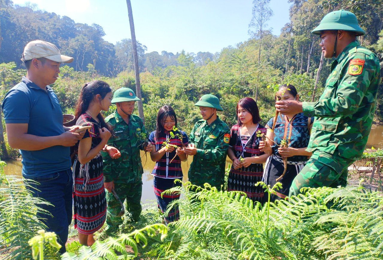 4+ - huong dan trong Dang Sam