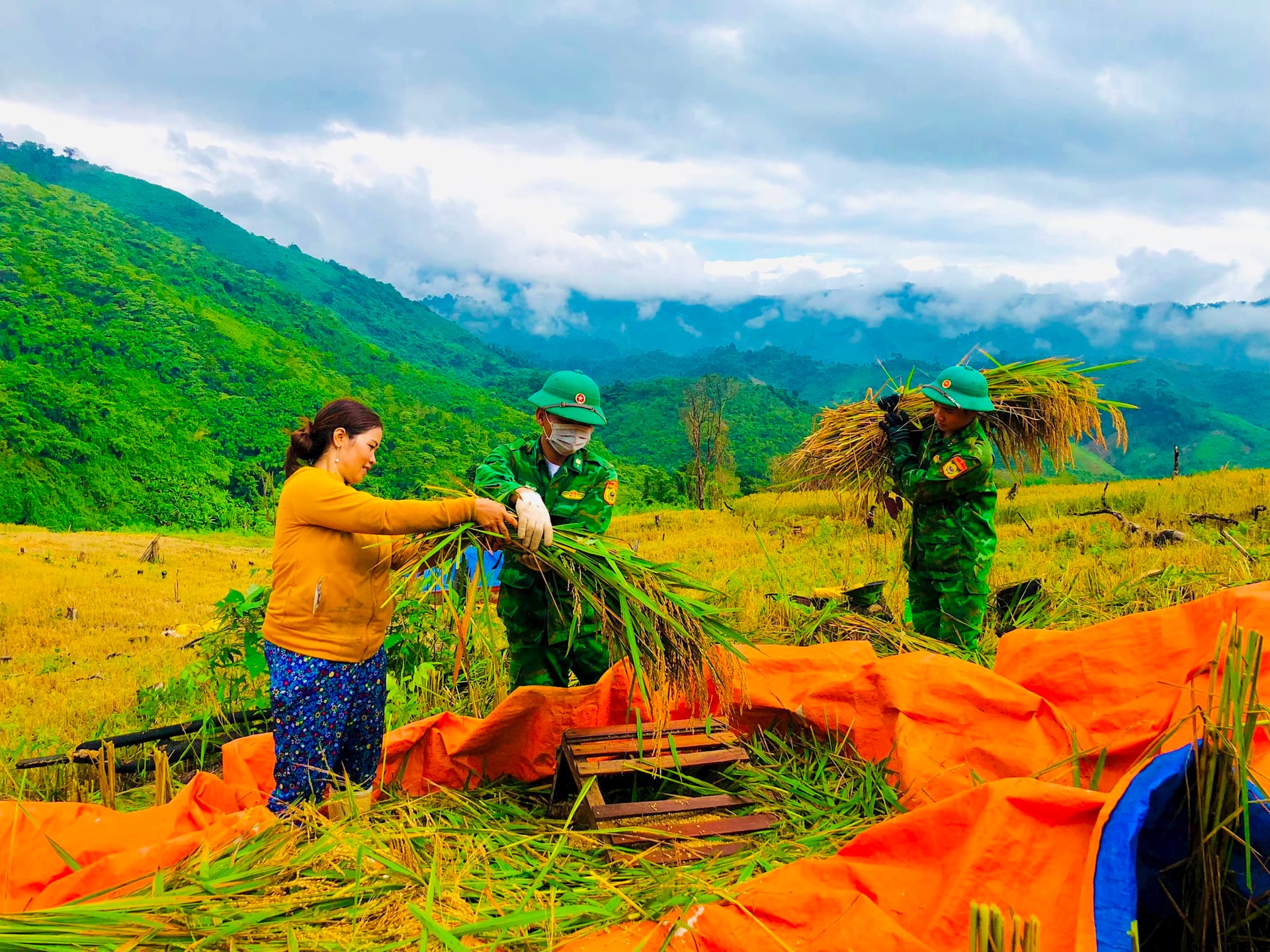 5 -giup-dan-gat-lua La E