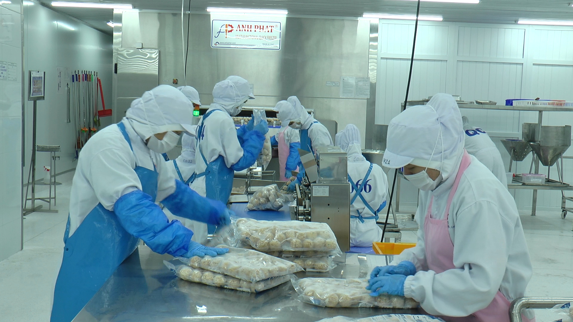 DONG PHUONG CO., LTD
