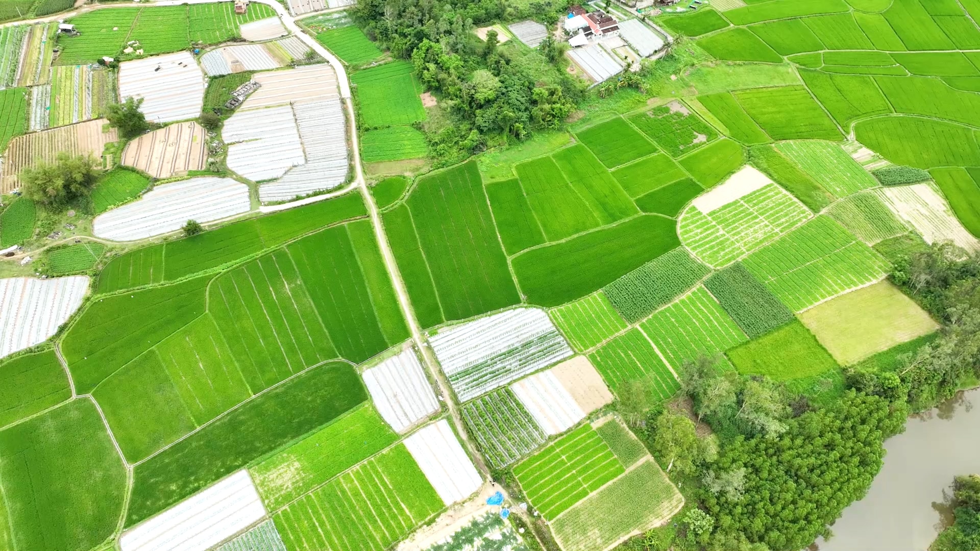 HTX Phu My (1).00_00_07_31.Still001