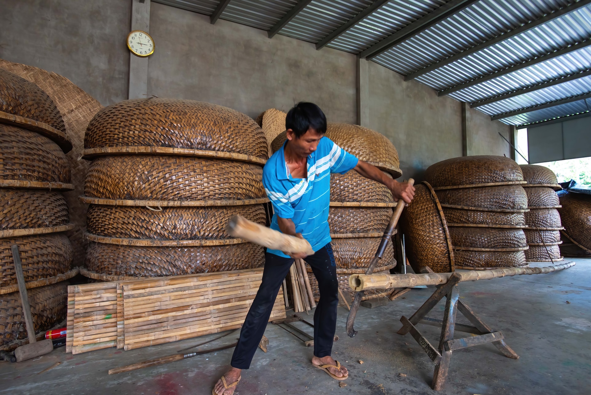អ្នកផលិតទូក ត្រូវជ្រើសរើសដើមឬស្សីដែលមានអាយុពី ១ឆ្នាំកន្លះ មិនក្មេងពេក និងមិនចាស់ពេក ព្រោះវិធីនោះ ទូកនឹងធន់បានយូរ។ រូបថត៖ NGUYEN TRINH