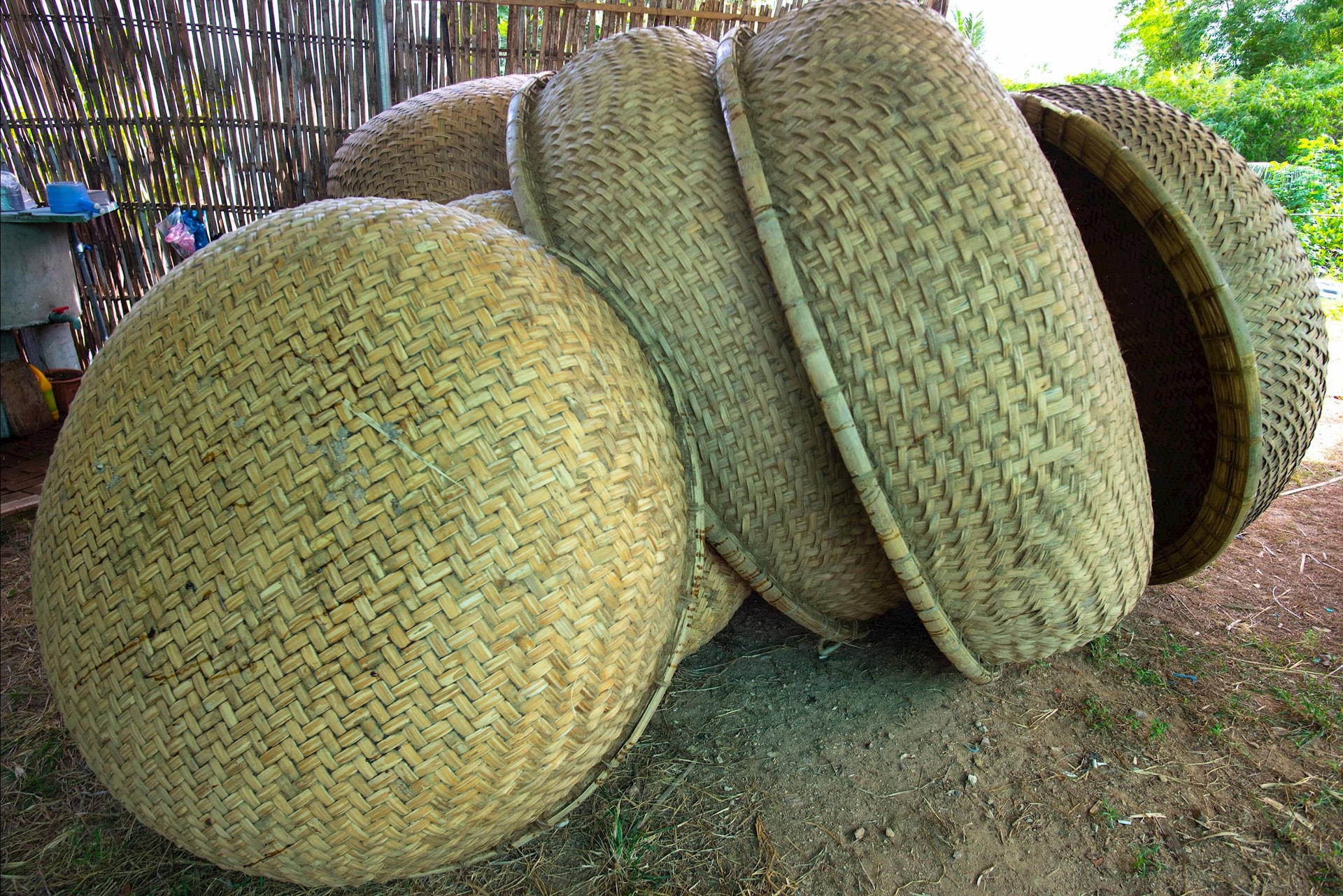 ពេល​ដាក់​កន្ត្រក​រួចរាល់​ហើយ កម្មករ​នឹង​យក​លាមក​គោ​ស្រស់​មក​លាយ​នឹង​ទឹក​លាប​ទាំង​សងខាង។ វិធីសាស្រ្តនេះគឺដើម្បីបិទចន្លោះប្រហោងរវាងបន្ទះឬស្សី។ បន្ទាប់​ពី​លាមក​គោ​ស្ងួត​អស់​ពីរ​ស្រទាប់​ហើយ សូម​បន្ត​លាប​ប្រេង​អូត​ពីរ​ស្រទាប់​ទៀត​ដើម្បី​បញ្ចប់​កន្ត្រក។ រូបថត៖ NGUYEN TRINH