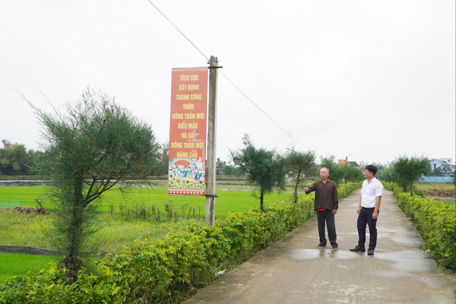 Ảnh 6 - Thôn Phú Vĩnh đã mở rộng gần 3km đường giao thông trong những năm qua