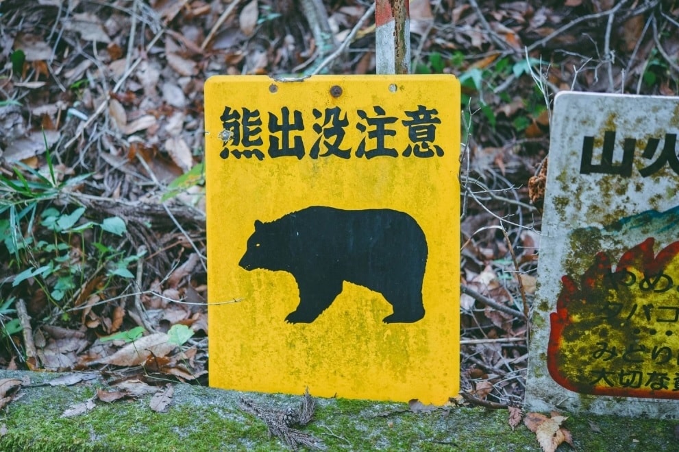 gấu Nhật 2