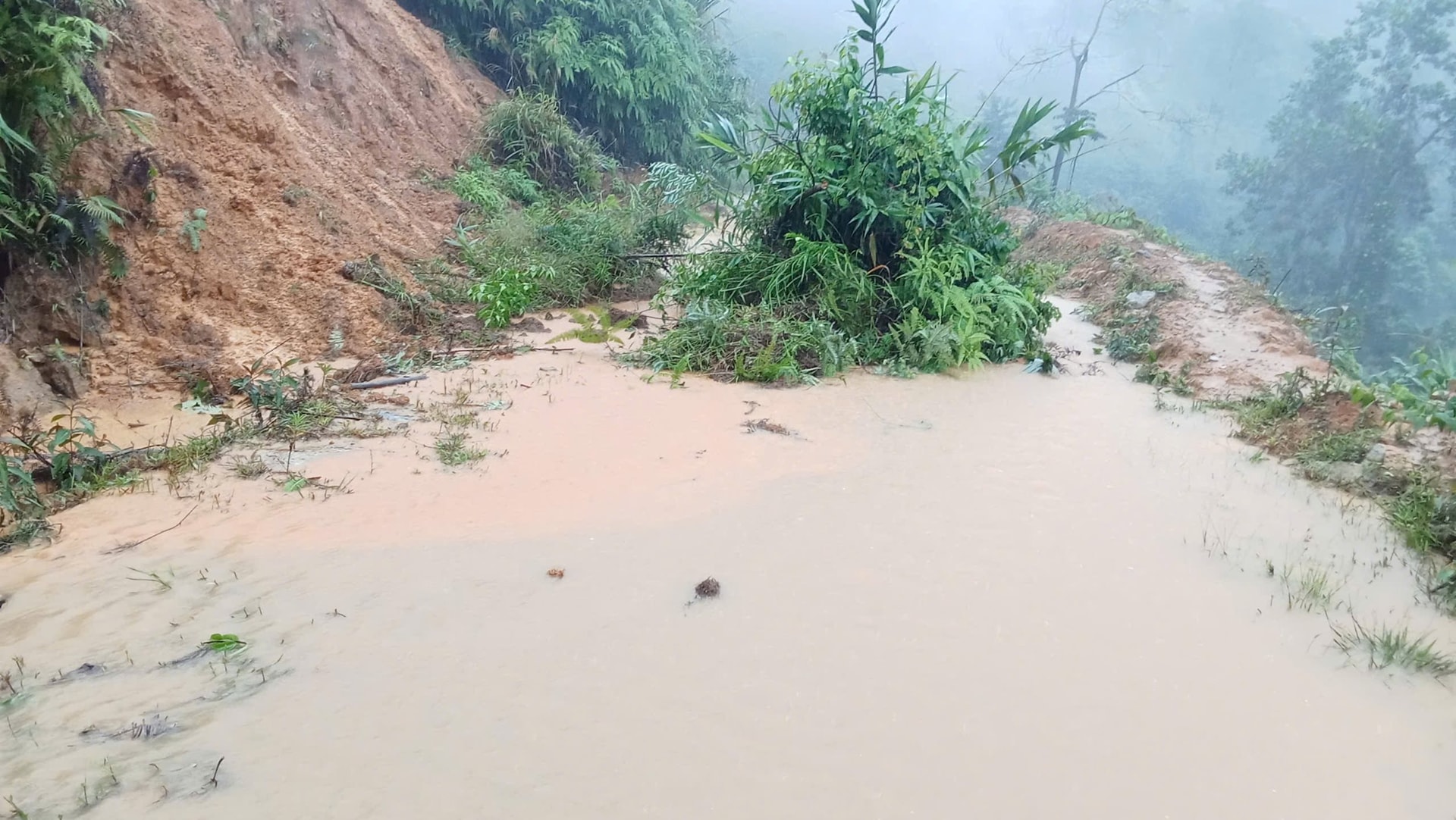 Fuerte deslizamiento de tierra en la colina Chim, cerca de la comuna de Phuoc Thanh, que causó un aislamiento total. Foto: TAN SY