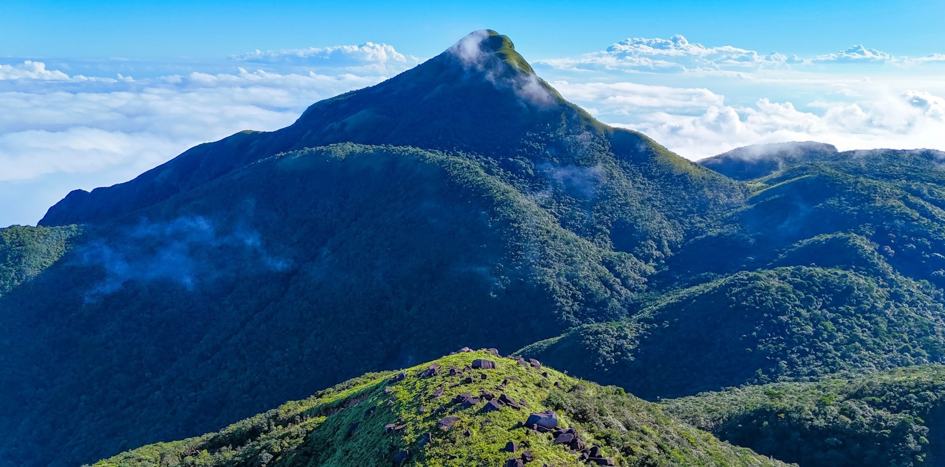 VM យល់ព្រម