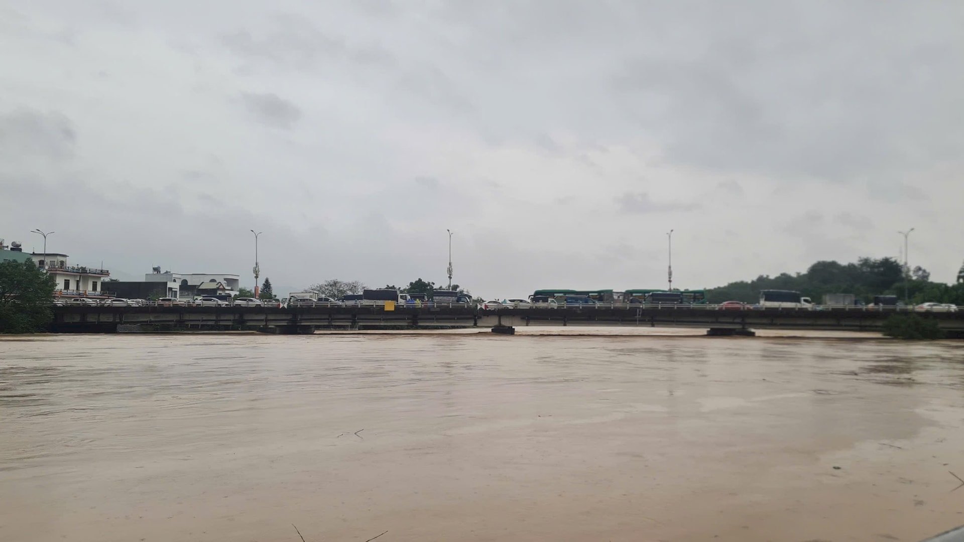 CAU AI NGHIA 1