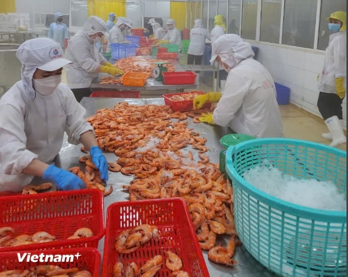 Chuyên gia HSBC nhận định kinh tế Việt Nam tăng trưởng nhanh nhất ASEAN. (Ảnh: Vietnam+)