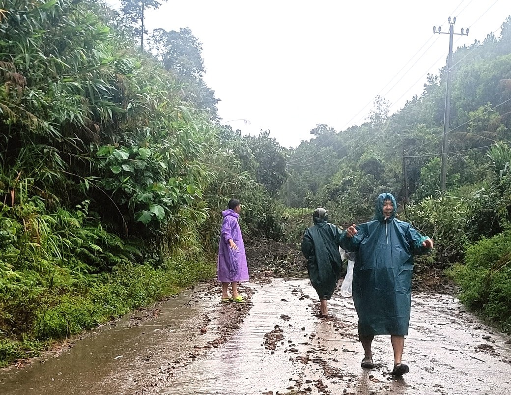 فكر في مجموعة النساء الحوامل اللواتي يلتقطن صورًا للأفيال