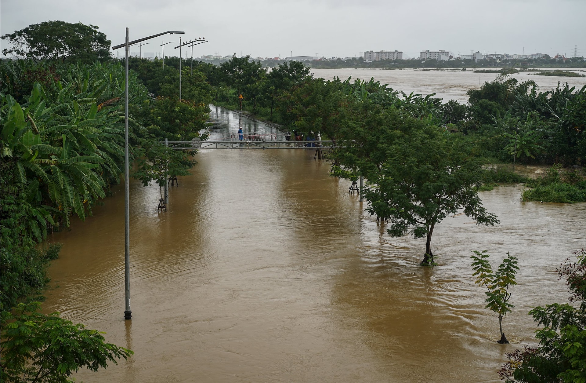 Nước sông tràn lên đường Thăng Long, khu vực dưới chân cầu Đỏ (phường Cẩm Lệ) sáng 28/10. Ảnh: XUÂN SƠN