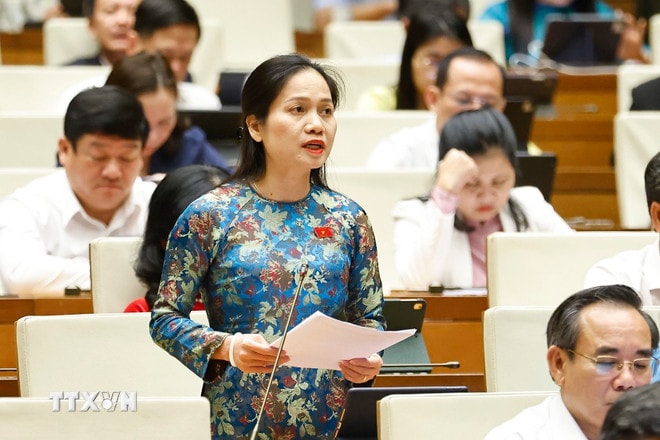 ttxvn-quoc-hoi-tiep-tuc-thao-luan-ve-ket-qua-thuc-hien-ke-hoach-phat-trien-kinh-te-xa-hoi-nam-2025-3.jpg