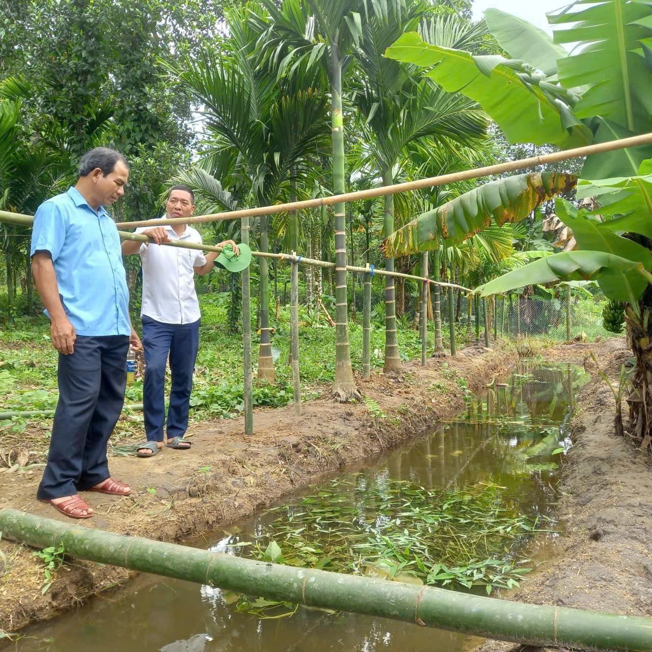 Lãnh đạo xã Trà Tập thăm mô hình nuôi cá do chi bộ Trường Phổ thông dân tộc bán trú THCS Nguyễn Trải thực hiện hỗ trợ người nghèo Ảnh UBND xã Trà Tập
