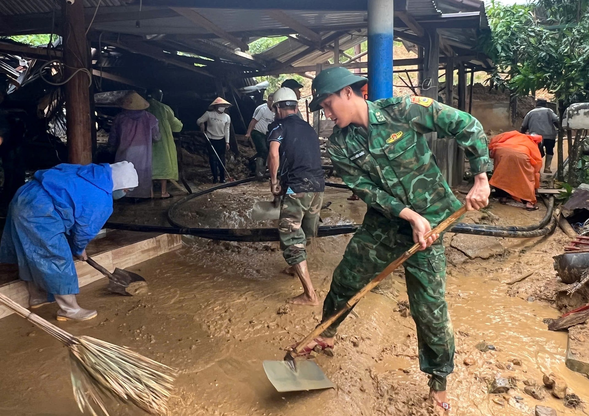 তম হাই ২