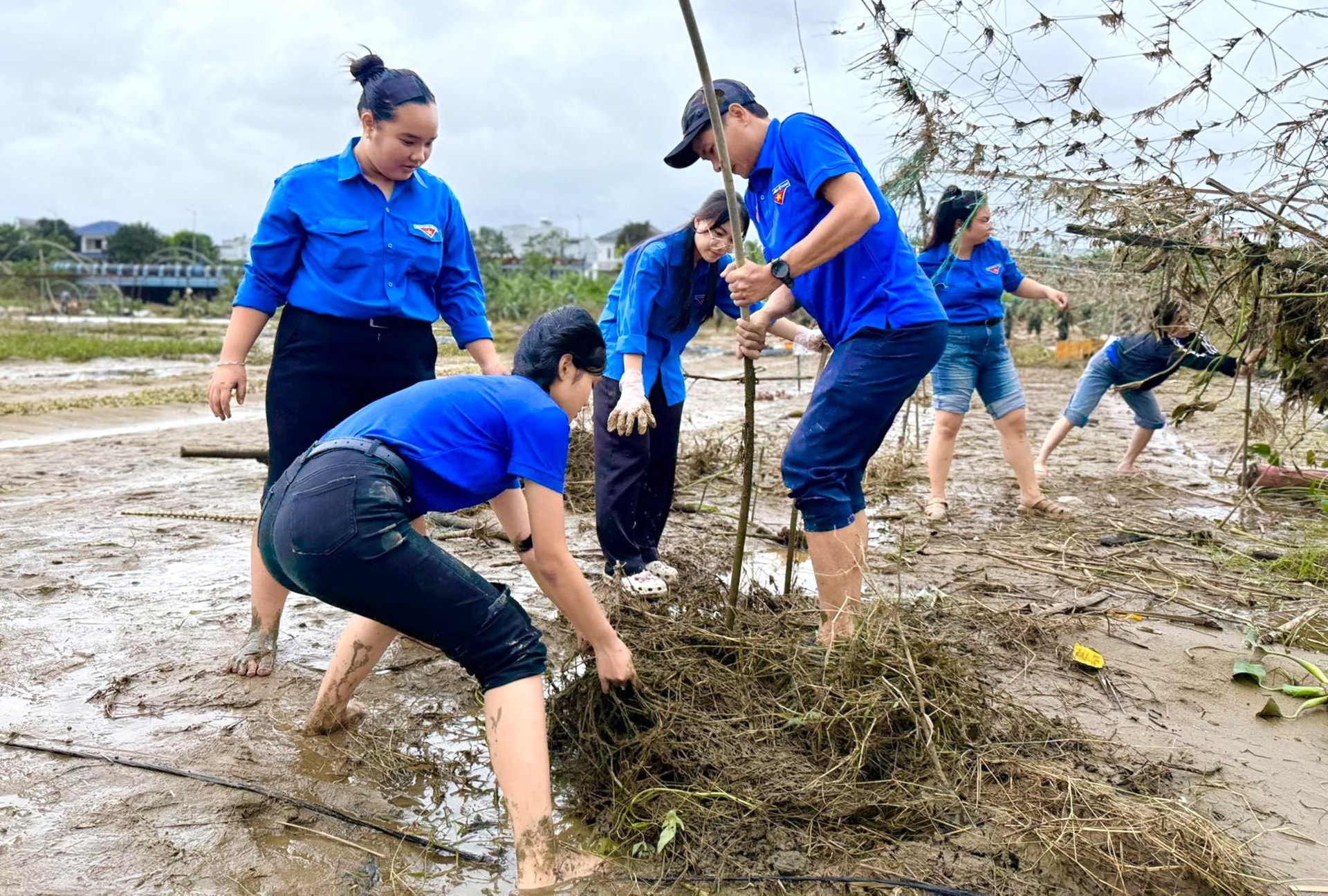 Youth Union members of Cam Le ward support people to overcome the consequences of floods at La Huong vegetable garden. Photo: XUAN DONG