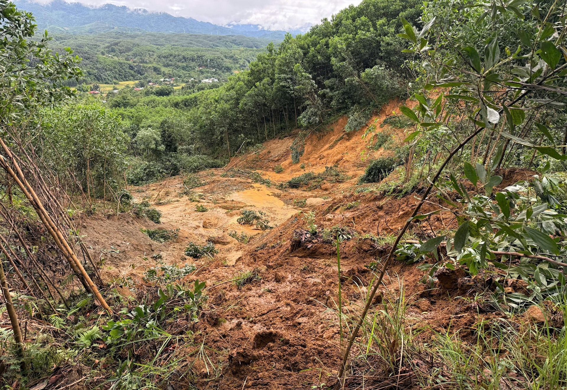 3100970566618520460 (1)