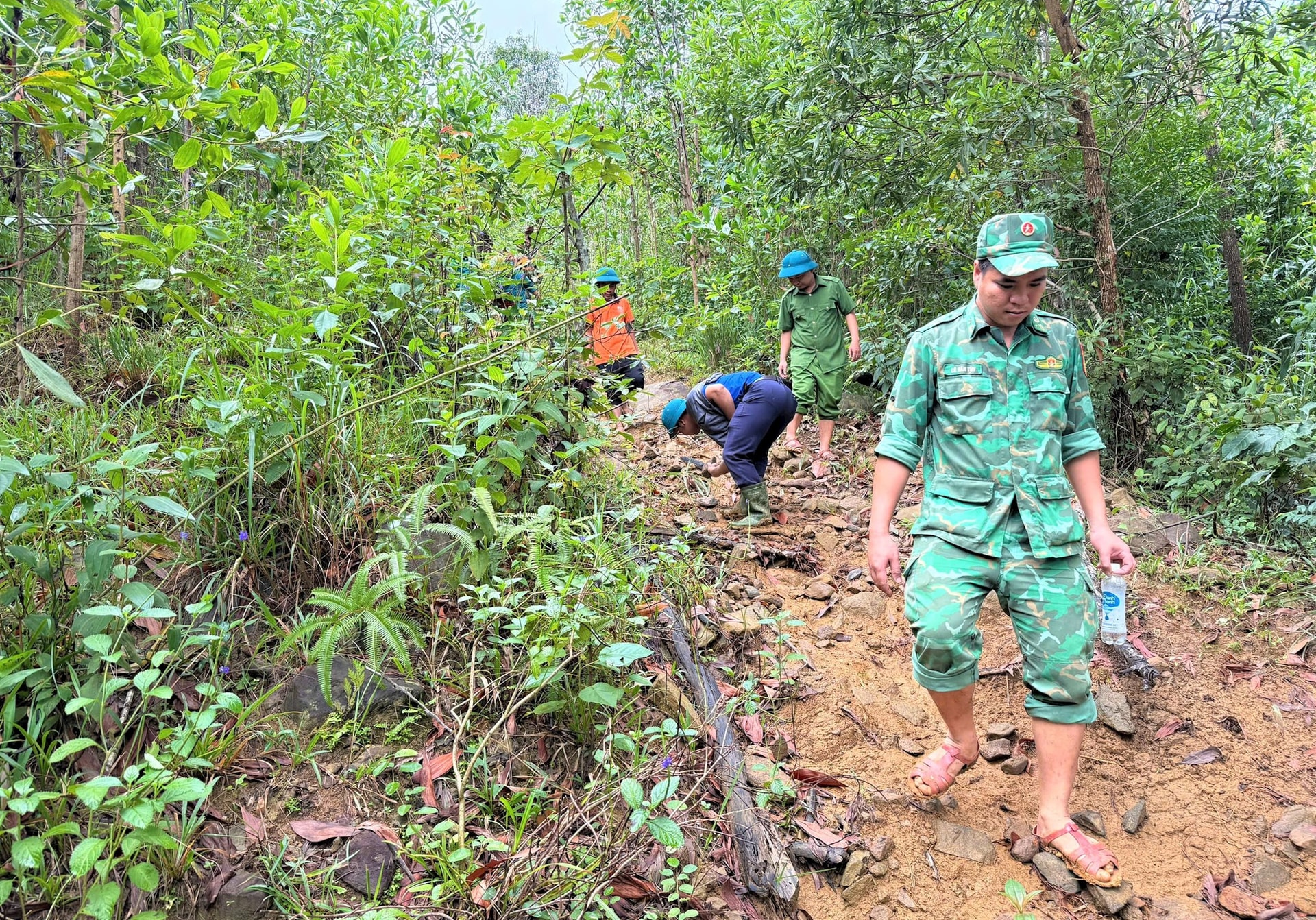 3100970566618520460 (2)